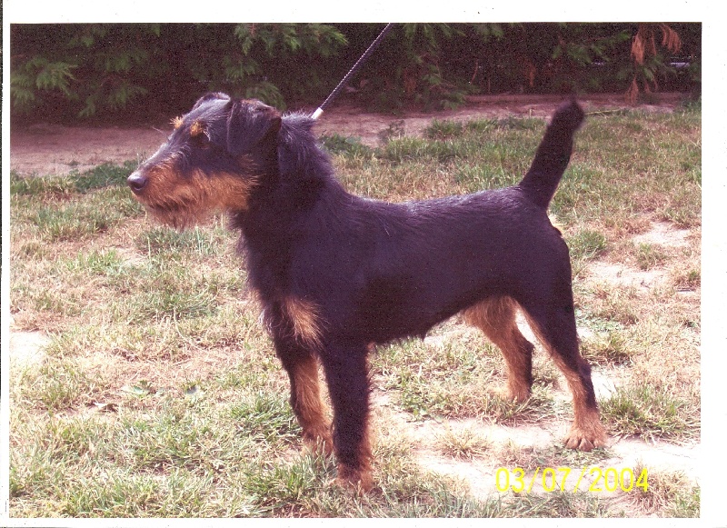 CH. Urha du haut de Koeking